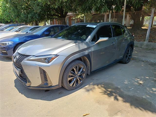 LOTE 047 UX250H F SPORT 2018/2019