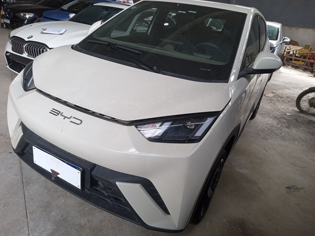 LOTE 025 DOLPHIN MINI GS EV 2023/2024 