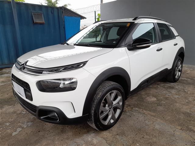LOTE 047 C4 CACTUS FEEL AT 2021/2022 